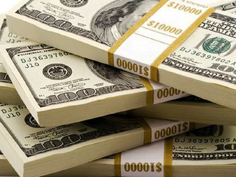 Người Việt ở nước ngoài, nguồn lực quan trọng trong sự nghiệp phát triển đất nước (phần I)