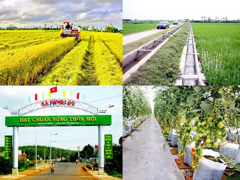 Vai trò của nông dân trong thực hiện vấn đề tam nông ở nước ta