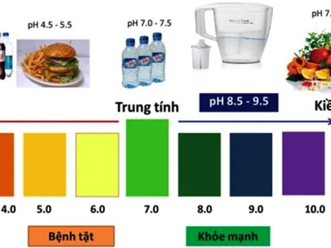 Tìm hiểu về vai trò PH trong cơ thể người