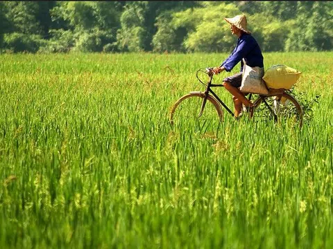 Tìm hiểu Đầu tư xanh (Green Investing)