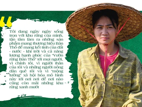 Trở về quê hương lập nghiệp