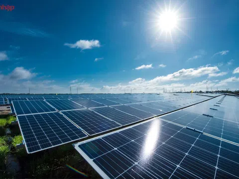 Đầu tư Điện Mặt Trời áp mái kết hợp Nông nghiệp vẫn gặp khó