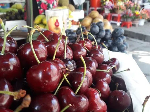 Cảnh giác với những thùng Cherry Mỹ giá rẻ bán tràn lan