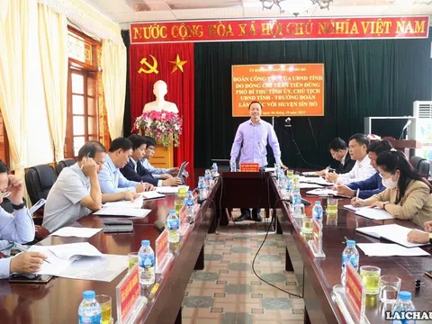 Lai Châu: Huyện Sìn Hồ đẩy mạnh các mô hình liên kết, hướng đến mục tiêu trở thành vùng dược liệu lớn của tỉnh