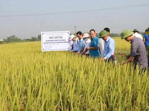 Bắc Giang: Nhiều lợi ích từ ứng dụng thiết bị bay không người lái để phòng trừ sâu, bệnh hại trong sản xuất lúa theo tiêu chuẩn VietGAP