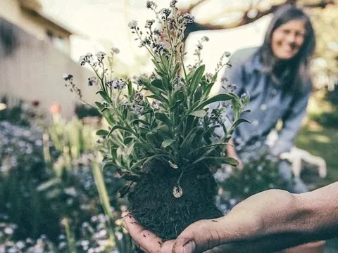 7 thói quen nâng cao tinh thần và sức khỏe của bạn