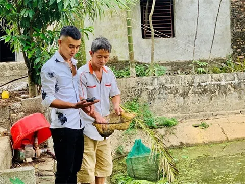 Hưng Yên: Triển vọng nghề nuôi thủy đặc sản