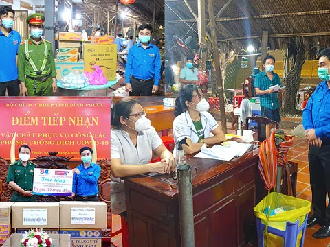 Nhìn lại mùa đại dịch thế kỷ tràn qua