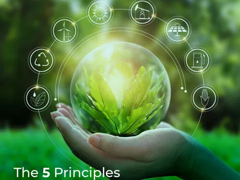 Bản chất, mục đích và có bao nhiêu mô hình kinh tế