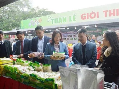 Khai mạc Tuần lễ giới thiệu sản phẩm nông sản, thuỷ sản tỉnh Yên Bái tại Hà Nội