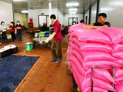 TP Cẩm Phả: Tăng cường kiểm tra bảo đảm vệ sinh an toàn thực phẩm