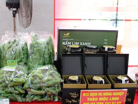 Bắc Giang: Huyện Sơn Động phấn đấu đến năm 2025 có thêm 10 sản phẩm OCOP được xếp hạng 3 sao, 4 sao