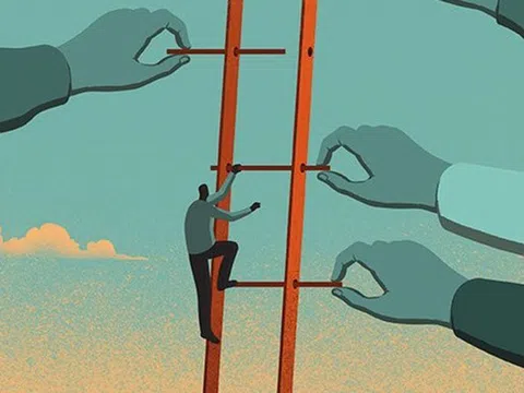 Những giai đoạn cơ bản của cuộc đời