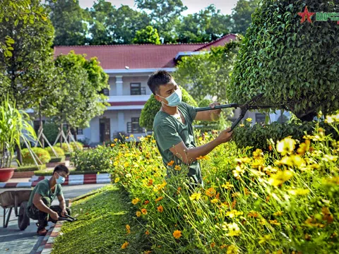 Ninh Bình: Có kế hoạch tổ chức các hoạt động nhân dịp Tết Dương lịch và chào đón năm mới 2023