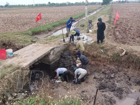 Thái Bình: Phát triển “hạt nhân” kinh tế nông thôn