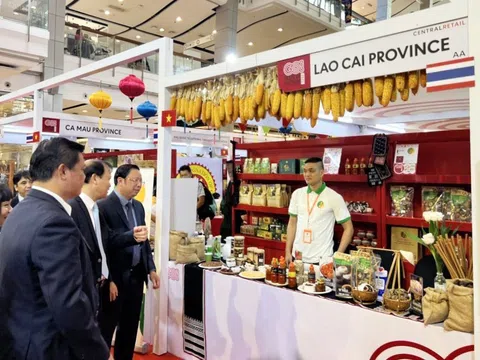 Lào Cai phấn đấu tổ chức khoảng 150 lượt kết nối, giao thương với các mạng phân phối nước ngoài