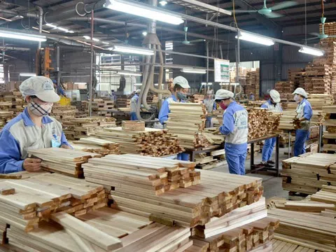 Tuyên Quang: Phát triển thị trường lao động linh hoạt, bền vững và hội nhập