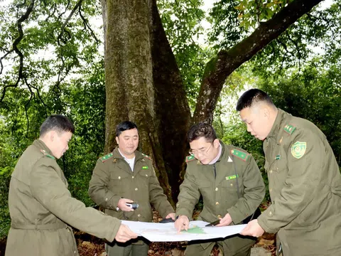 Hà Giang: Huyện Mèo Vạc Nâng cao nhận thức bảo vệ rừng cho người dân