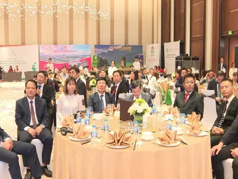 Vĩnh Phúc tổ chức giao lưu, kết nối doanh nghiệp Việt Nam - Nhật Bản năm 2023