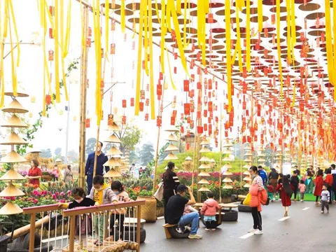 Hà Nội mùa xuân và những sắc hoa