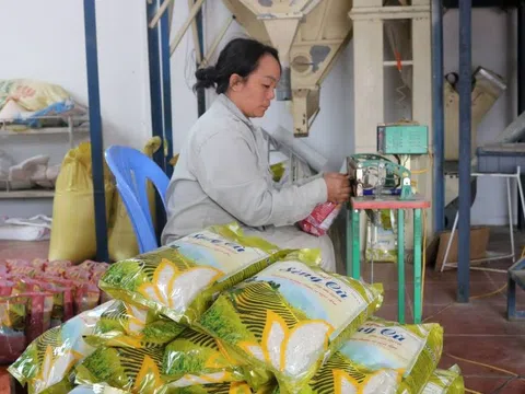 Lào Cai: Đưa nông sản Bát Xát lên sàn thương mại điện tử