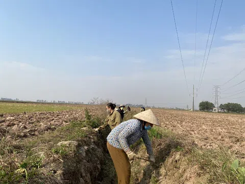 Hưng Yên: Tiên Lữ sẵn sàng sản xuất lúa vụ xuân