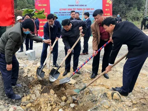 Quảng Ninh: Trên 174 ha cây xanh được trồng mới nhân dịp phát động Tết trồng cây