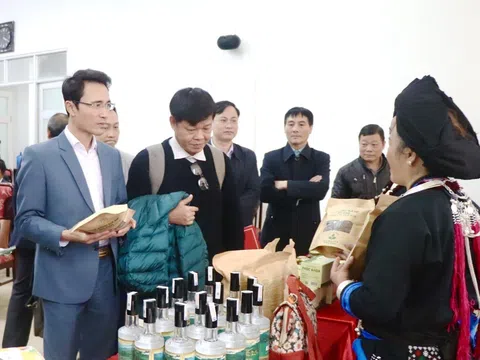 Lai Châu: Nâng tầm nông sản địa phương nhờ triển khai hiệu quả Chương trình OCOP