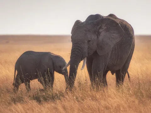 Đừng so sánh người này với người khác