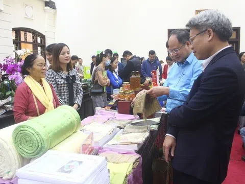 Đánh giá tổng quan sản phẩm OCOP ở miền Bắc