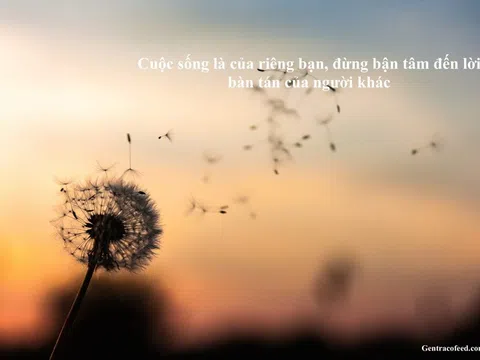 Người khôn ngoan luôn giữ phương châm sống này