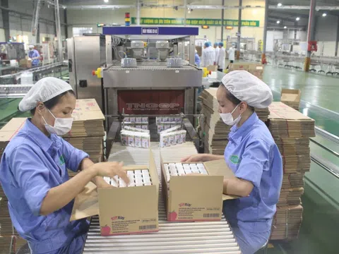 Thái Nguyên: gần 8.900 doanh nghiệp đang hoạt động