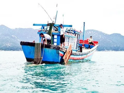 Hải Phòng: Tích cực ngăn chặn tình trạng sử dụng xung điện, chất độc, chất nổ, nghề và ngư cụ cấm trong khai thác thủy sản