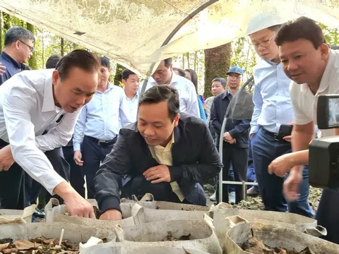 Đoàn công tác Bộ Nông nghiệp và Phát triển nông thôn làm việc tại tỉnh Lai Châu