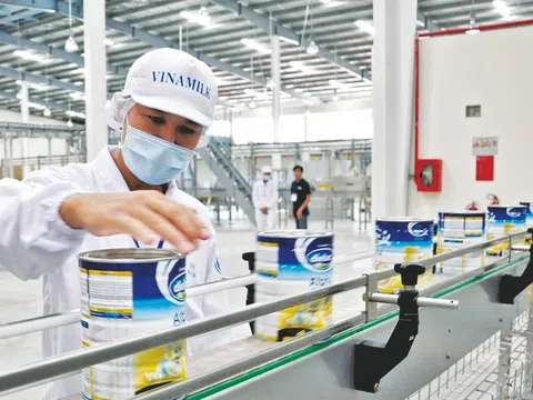 Những Lợi ích kinh tế tuần hoàn đem lại