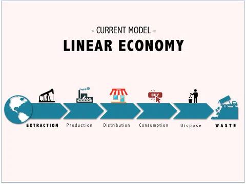 Hậu quả Kinh tế tuyến tính (Linear Economy)