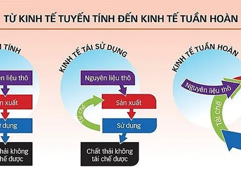 Từ Kinh tế tuyến tính đến Kinh tế tuần hoàn