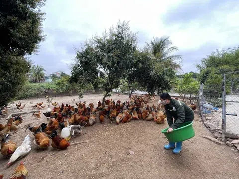 Quảng Ninh: Đưa ngành nông nghiệp phát triển theo hướng bền vững