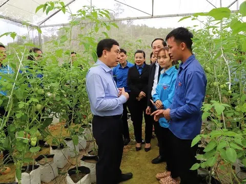 Hà Giang: Phó Bí thư Tỉnh ủy Nguyễn Mạnh Dũng kiểm tra một số mô hình phát triển kinh tế của đoàn viên thanh niên huyện Bắc Quang