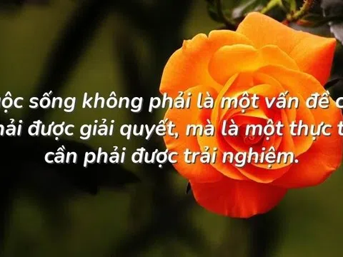 Kinh nghiệm hữu ích có thể áp dụng suốt cuộc đời