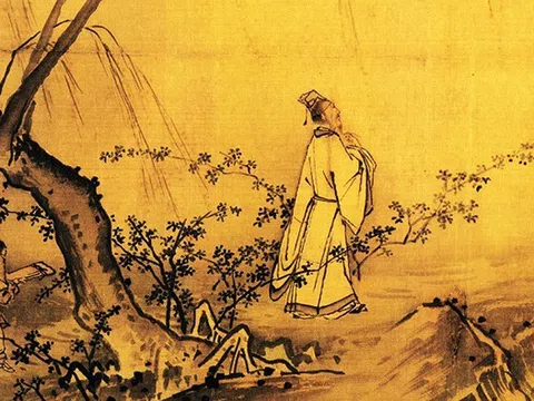 Người thực sự thông minh sở hữu những đặc tính nào?