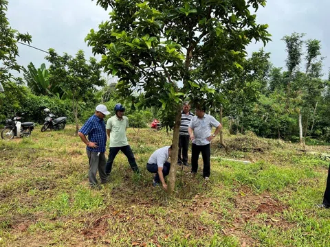 Huyện Châu Đức, Bà Rịa - Vũng Tàu: Đẩy mạnh sản xuất và liên kết sản phẩm bơ