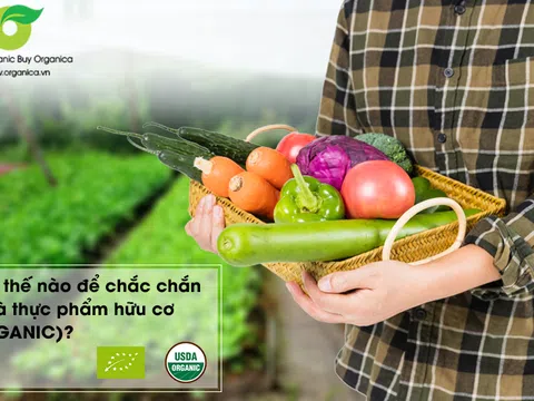 Thực phẩm hữu cơ khác gì với thực phẩm thường?