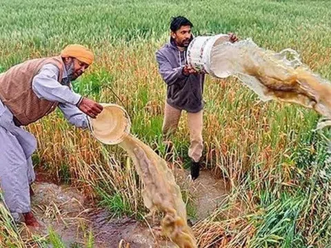 Ấn Độ: Nhiều chính sách ưu đãi đối với nông nghiệp, nông dân