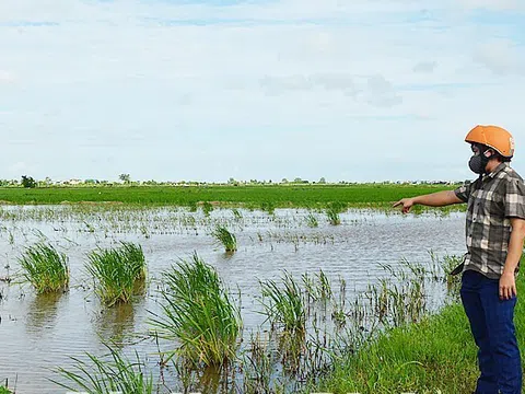 Làm thế nào để nông dân không chán ruộng?