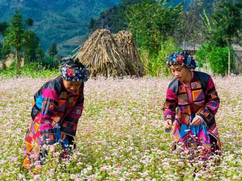 Du lịch trở thành ngành kinh tế mũi nhọn của Hà Giang