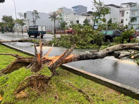 Dọn dẹp sau bão: Cách giữ an toàn khi xảy ra thiên tai