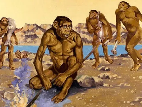 Homo Sapiens và trí tuệ nhân tạo AI