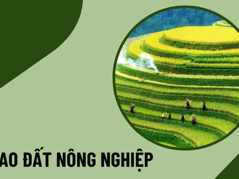 Hạn mức giao đất nông nghiệp theo luật mới nhất