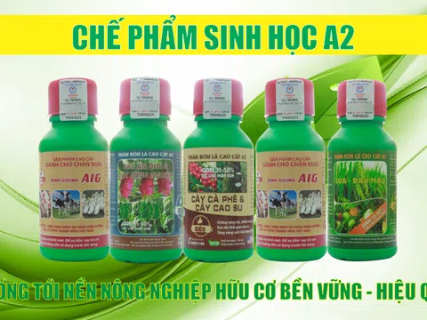 Chế phẩm sinh học trong trồng trọt hiện đại